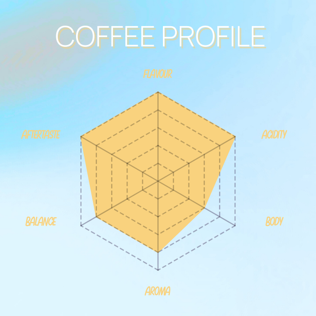 Subscription - Filter Blend 25% OFF