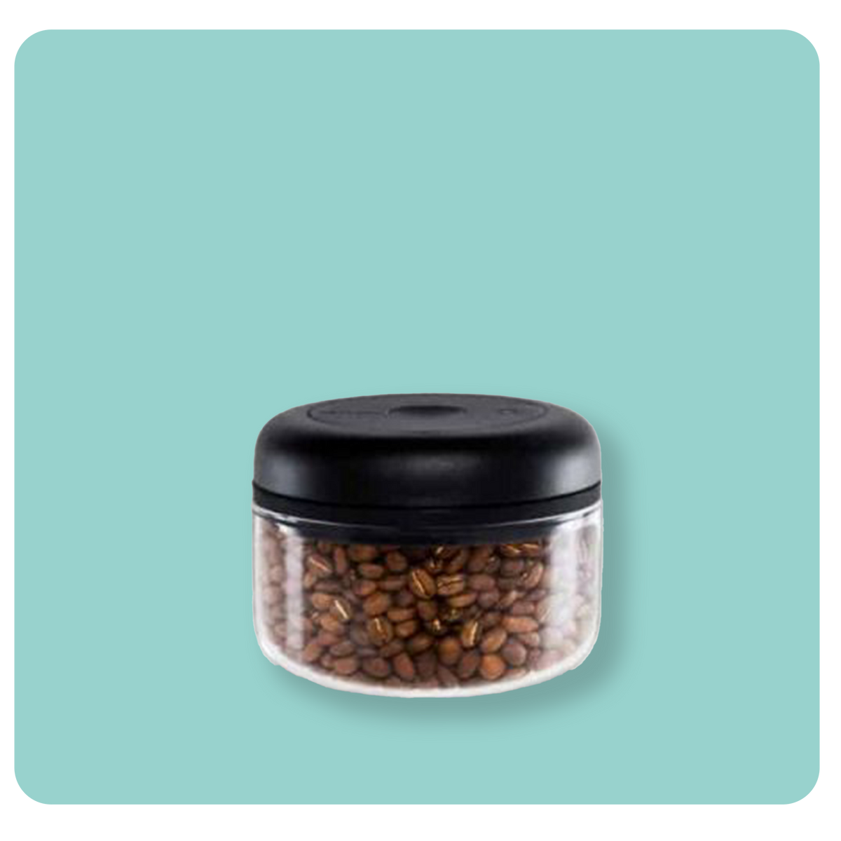 Fellow Atmos Vaccum Canister