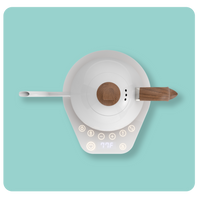 Brewista Artisan 1L Kettle