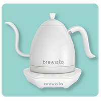 Brewista Artisan 1L Kettle