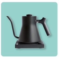 Fellow Stagg EKG Electric Kettle