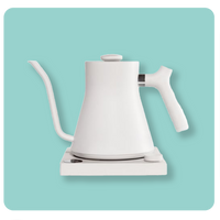 Fellow Stagg EKG Electric Kettle