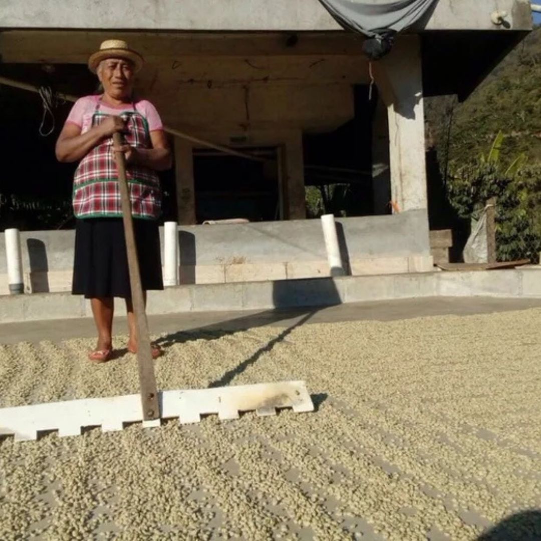 Single Origin - Guatemala, Huehuetenango region