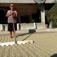 Single Origin - Guatemala, Huehuetenango region