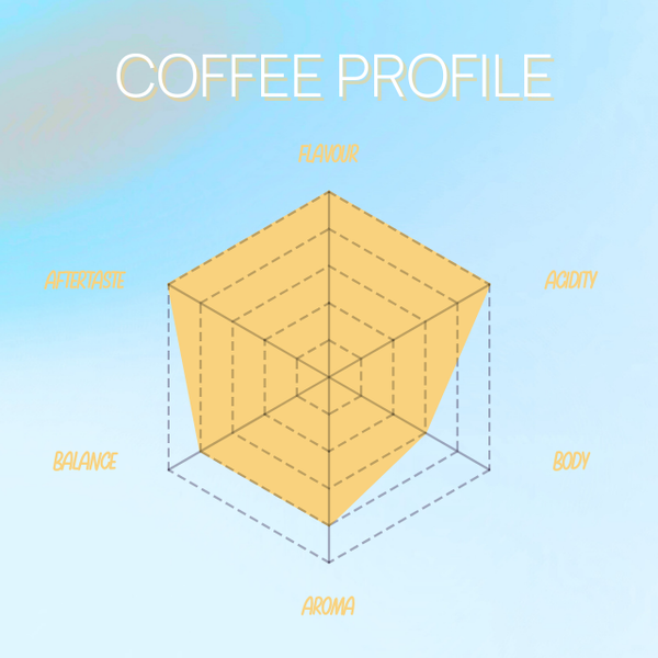 Subscription - Filter Blend 15% OFF
