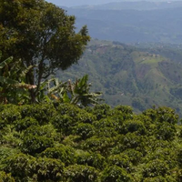 Subscription - Single Origin 25% OFF